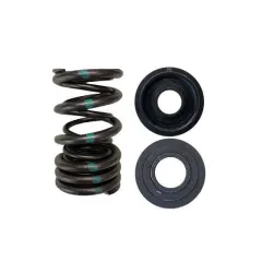 Podwójne Spręzyna/Stalowa Miska zaworowa/SEAT KIT (Honda/Acura K20A/K20Z, F20C/F22C - HIGH MILEAGE) największy sklep tuningowy w Polsce!