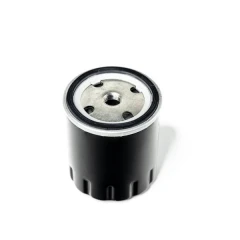 Wkład filtra DeatschWerks paliwa spin-on 5 mikronów (Kompatybilny z E85)